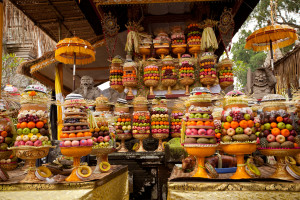 GEBOGAN are towering offerings constructed around the base of a banana trunk. Prepared by the woman of the house hold, they are presented to the deities at temples birthdays. Typically, the first layer is composed of fruits followed by layers of rice cakes in many shapes and colors.