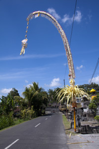 A Penjor is an offering in the form of a tall, decorated bamboo pole whose gracefully curving upper end is said to resemble both the tail of the barong, symbol of the goodness, and the peak of the sacred mountain, Mount Agung. Penjor are placed in front of each Balinese compound for the Galungan holiday and an also used in conjunction with important temple ceremony and life-cycle rituals.