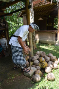 Making The Coconut Oil (2)